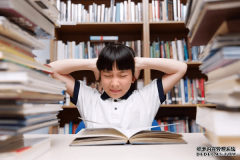 年齡偏小、零基礎的初中生，能去學IT嗎？